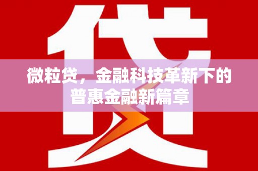 台江微粒贷，金融科技革新下的普惠金融新篇章