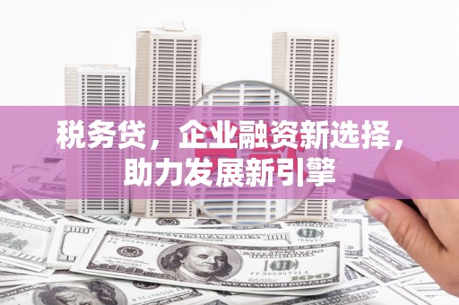 台江税务贷，企业融资新选择，助力发展新引擎