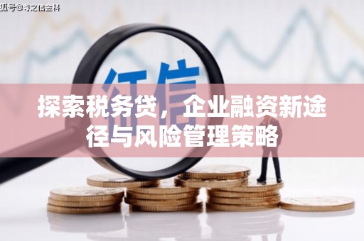 台江探索税务贷，企业融资新途径与风险管理策略