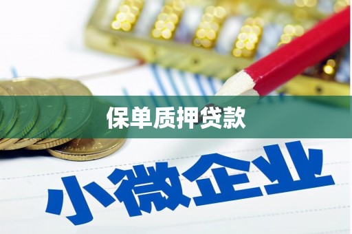 台江保单质押贷款