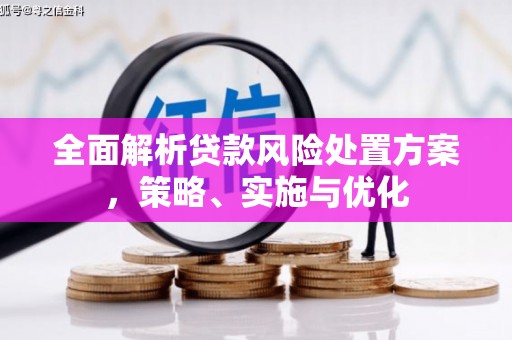 台江全面解析贷款风险处置方案，策略、实施与优化