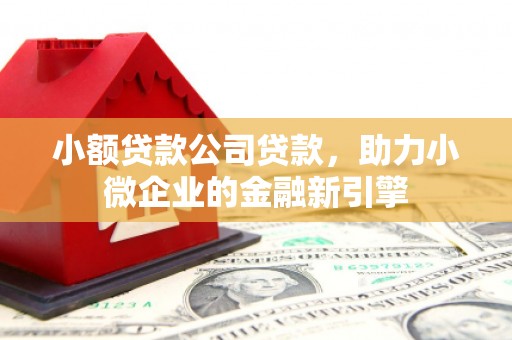 台江小额贷款公司贷款，助力小微企业的金融新引擎