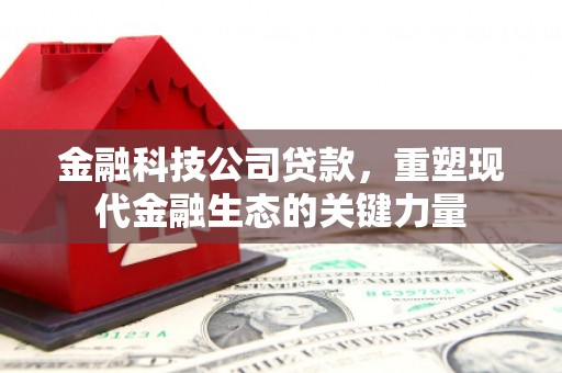 台江金融科技公司贷款，重塑现代金融生态的关键力量