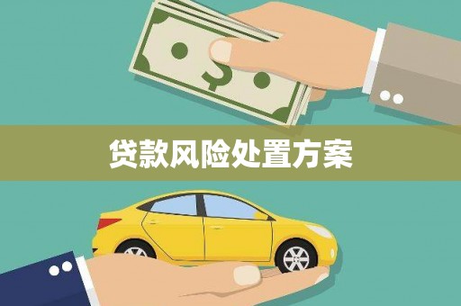 台江贷款风险处置方案